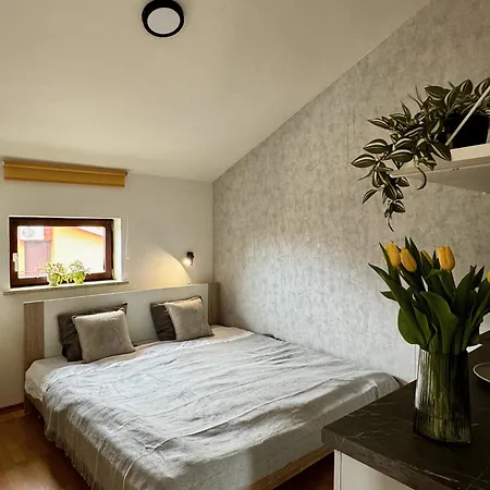 & Jasmine Guest house *
