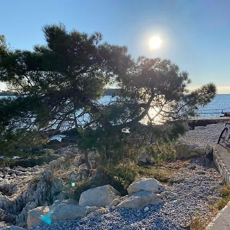 & Jasmine 게스트하우스 푼타나