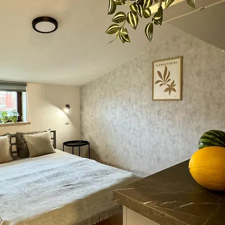 게스트하우스 & Jasmine